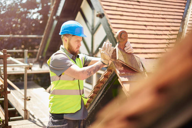 Best Roof Maintenance Services  in Calhoun Falls, SC